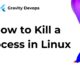 How to Kill a Process in Linux