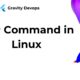 SCP Command in Linux