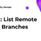 List Remote Branches