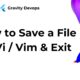 How to Save a File in Vi / Vim & Exit