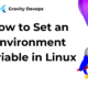 How to Set an Environment Variable in Linux