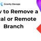 How to Remove a Local or Remote Branch