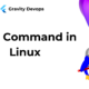 grep Command in Linux