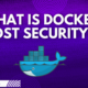 What is Docker Host Security